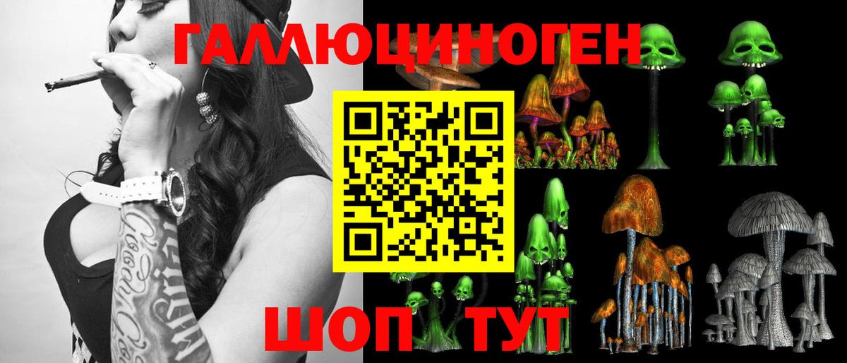 Галлюциногенные грибы прущие грибы  продажа наркотиков  Вход с VPN  Шуя  Псилоцибиновые грибы мухоморы 